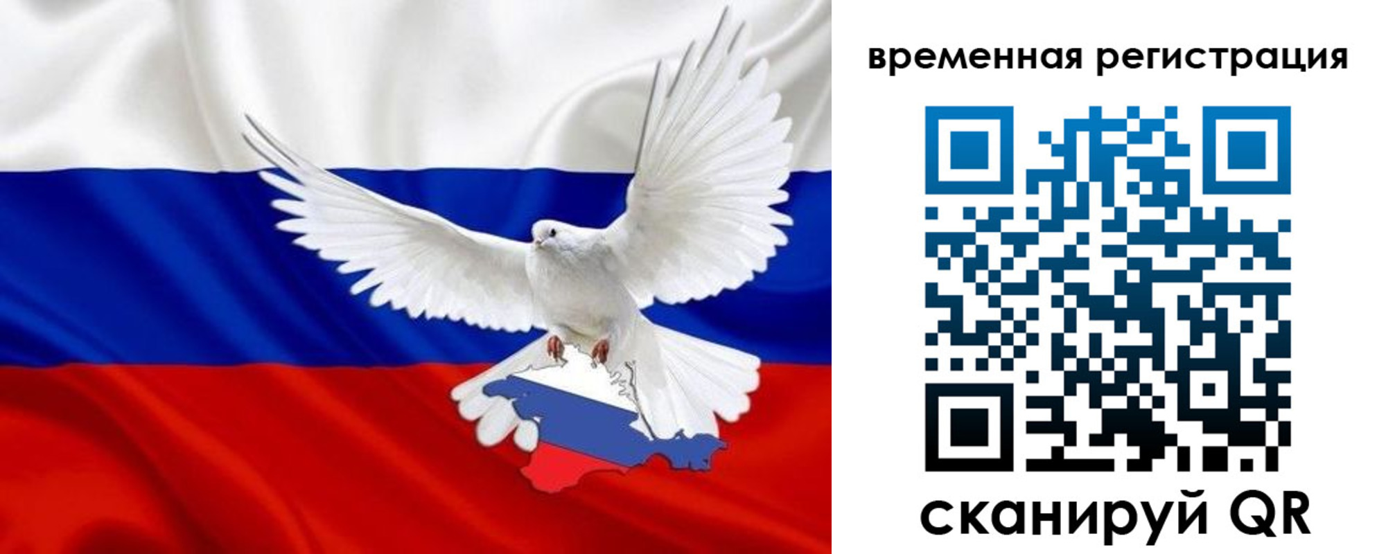 прописка законно в Ясном