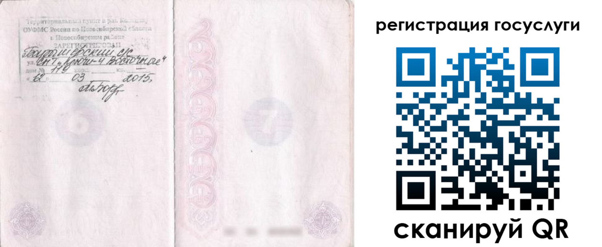прописка для школы в Ясном